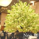 컨퍼런스 홀 이미지