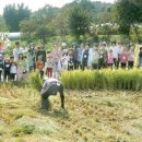 도농문화교류영농조합법인 이미지