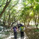 마마가 들려주는 불갑사 산행이야기~^^* 이미지