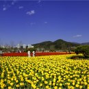 문화체육공원 이미지