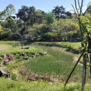 등너머경로당 이미지