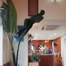 조르바민박 이미지