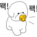 문성5호 이미지