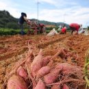 지리산농협 APC 이미지