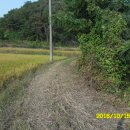 착한부동산중개사무소 이미지