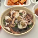 법동 먹거리 특화거리 | 2026 서천 동백꽃 쭈꾸미축제 후기🐙_서천특화시장 쭈꾸미 가격