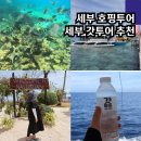 필리핀 세부 자유여행 호핑투어 종류 후기 여행사 추천