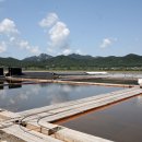 염전마을 비석 이미지