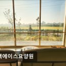 에이스환경 | [평택 요양원/추천/후기/가격] 평택에이스요양원 평택에이스요양원, 깨끗한 환경이 매력적이다