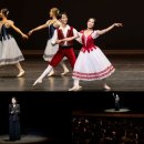 해설이 있는 발레이야기 이미지