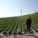 곡성-173 이미지