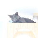 호텔바바 이미지