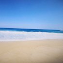 정동진 공인중개사사무소 이미지