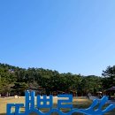 죽노골해수욕장 Daum카페