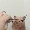 보름 이미지