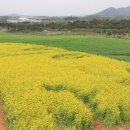 대불농장 이미지