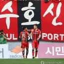 보니 이미지