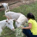 고원카센타 이미지