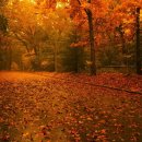 같은노래 다른느낌 1 - Autumn Leaves(단풍) - Ver 0.5 이미지