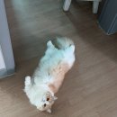 온평 열운이작은도서관 | [月刊 한새라] 24년 6월호 &#39;아주 작은 설렘들도 이렇게나 행복한데&#39; - 4