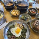시골밥상 농어촌민박 | 평창맛집 오대산농원식당민박 내돈내산 후기 l 산채비빔밥 인생맛집