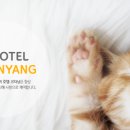 고양이호텔코자냥 이미지