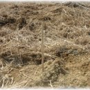 한울농장2 이미지