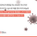 혓바늘 원인 약 없애는법 알보칠 사용법 함께 알아볼까요(자주 날때) 이미지