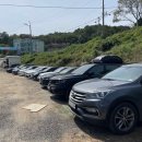 분오리양식장 | [인천⭐️강화] 강화도대하 맛집 분오수산 방문후기!