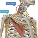 숲속부부한의원 이미지