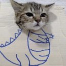 공룡pc방 이미지