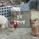 집현다방