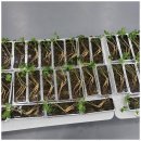 석봉태권도장 이미지