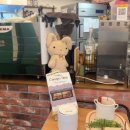 위로(WIiRo) 이미지