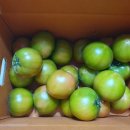 두배로농장 이미지