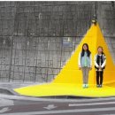 안암초등학교 이미지