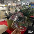 광교중앙역 와인바 히든셀라 Hidden Cellar 샤르도네 와인 후기