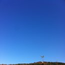 월평공원 습지길 이미지