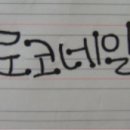 로코네일 이미지