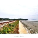 계절여행 이미지