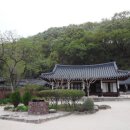정곡천 네이버블로그