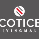 코티스 앰버서더 이미지