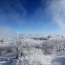 문화동011 이미지