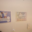 댕굴댕굴 - 연수구 센트럴로 415 | 댕굴댕굴