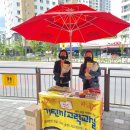 은솔초등학교 이미지