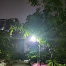 우리나라 행정사 이미지