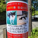 경인동물농장 이미지