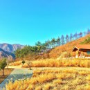 교리관광지 이미지