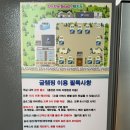 [선재도 숙소] 감성 넘치는 온더비치글램핑 C1 솔직후기