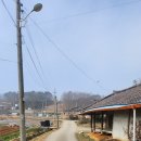 장고항1리 이미지